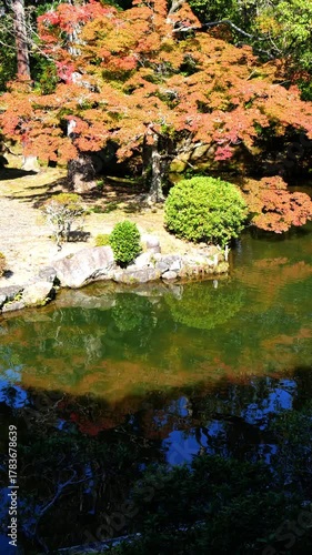 日本、京都、清涼寺、紅葉、秋、絶景、寺院、文化財、木造建築、古代建築、日本文化、歷史名勝、文化財、木、綠色、青空、写真素材