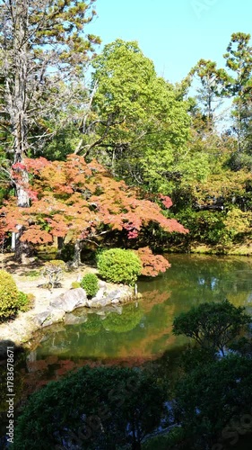 日本、京都、清涼寺、紅葉、秋、絶景、寺院、文化財、木造建築、古代建築、日本文化、歷史名勝、文化財、木、綠色、青空、写真素材
