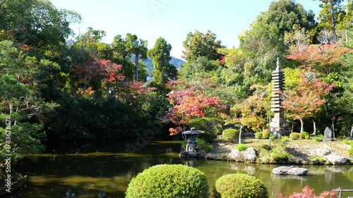 日本、京都、清涼寺、紅葉、秋、絶景、寺院、文化財、木造建築、古代建築、日本文化、歷史名勝、文化財、木、綠色、青空、写真素材