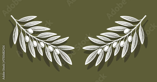 A beautifully detailed olive branch illustration, embodying peace and nourishment, ideal for using in organic and natural product branding reflecting timeless elegance.
