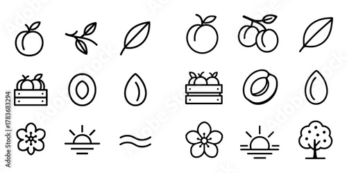 Apricot Tree Icon Set