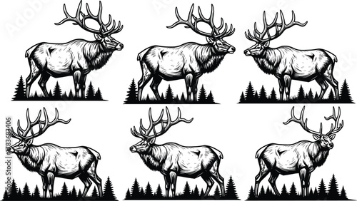 Wild elk illustration, majestic antlers, forest wildlife art, pine tree background, nature drawing, animal silhouette, rustic design, wilderness artwork, outdoors scene