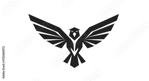 Geometric eagle logo design with spread wings in minimalist style and clean lines
