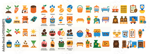 Coffee processing stages illustrated with icons