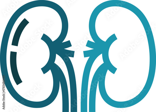 Kidney health wellness concept represented with a clean and modern icon