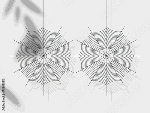 This image features two intricately designed spider webs, delicately illustrated in black and white against a minimalist background, capturing the beauty of nature's artistry.