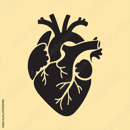 Stylized human heart anatomy illustration medical icon design