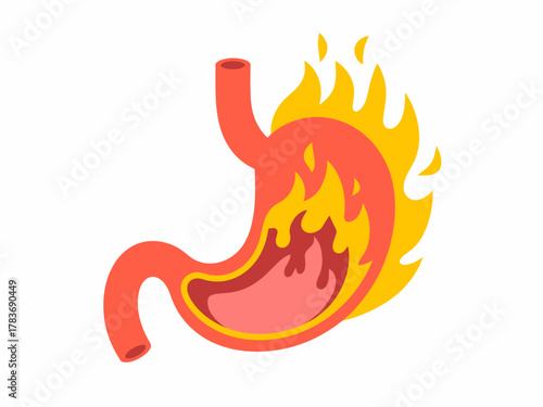 This creative illustration depicts a stomach on fire, visually representing the concept of digestive issues or strong emotions, ideal for health, wellness, and metaphorical graphics.