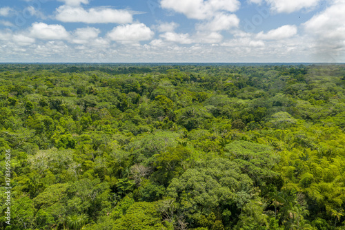 Amazon rain forest huge aerial panorama landscape, puerto narino amazonas colombia