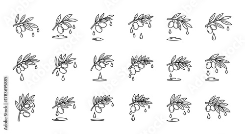 Set of 18 simple line art icons depicting olive branches with olives and dripping oil or water, symbolizing freshness and natural extraction, perfect for food and beverage branding, health products