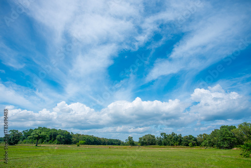 blue sky and white clouds.