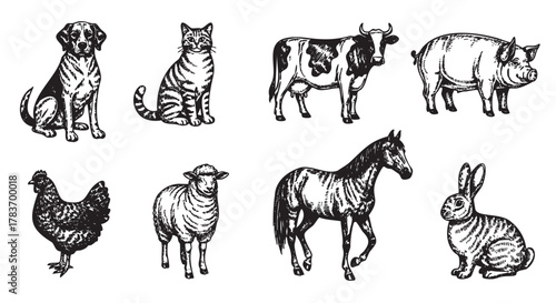 Black and white sketch of various domestic animals including a dog, cat, cow, pig, chicken, sheep, horse, and rabbit.