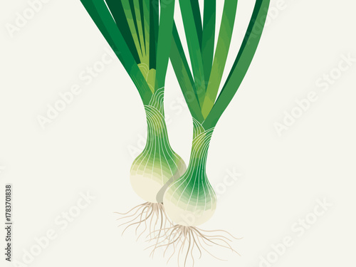 This illustration features two fresh green onions, showcasing their vibrant green tops and roots, emphasizing freshness and organic appeal in a minimalist style.