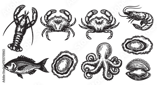 Black and white vector illustrations depict various marine creatures including a lobster, crabs, shrimp, fish, oysters, an octopus, and clams.