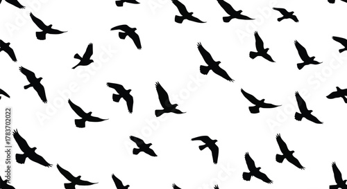 Seamless pattern silhouette flock of birds flying isolated on white background