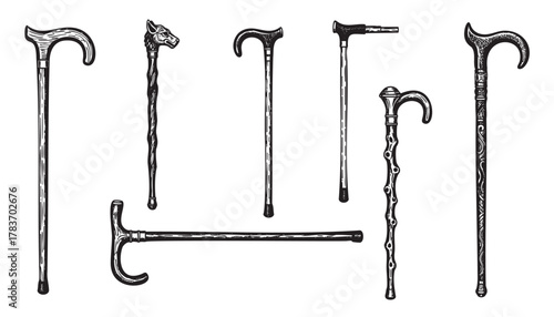 A collection of intricately designed walking canes, featuring various handles, including animal motifs, with detailed woodwork and ornate carvings.