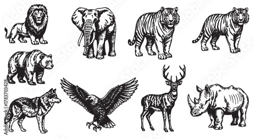 Black and white illustrations of various wild animals, including a lion, elephant, tiger, bear, wolf, eagle, deer, and rhinoceros, depicted in a detailed, sketchy style.