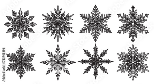 Eight intricately designed black snowflakes with varying symmetrical patterns, each showcasing unique shapes and detailed line work.