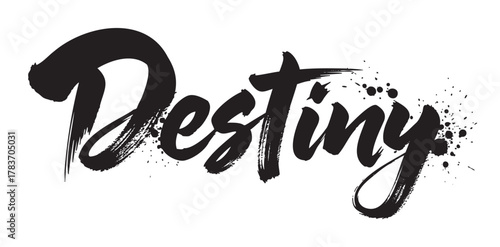 The word "destiny" is written in bold, artistic brushstroke lettering with ink splatters, conveying a sense of creativity and style.