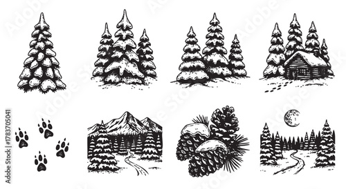 Black and white illustrations depict snow-covered pine trees, a wooden cabin, animal paw prints, mountain ranges, pine cones, and a moonlit landscape.