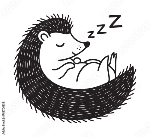 Black outline vector illustration of a sleeping hedgehog curled up with a peaceful expression and a floating "z" symbol indicating sleep.