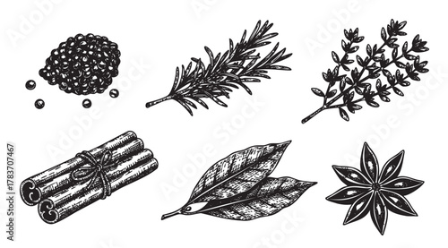 Black and white detailed botanical illustrations of various spices including black pepper, rosemary, thyme, cinnamon sticks, bay leaves, and star anise.