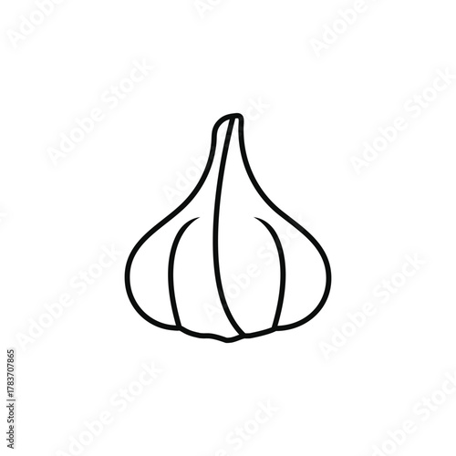 Garlic Vector Icon Vegetable Food Ingredient Illustration