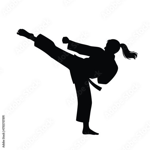 Silhouette of a woman performing a high karate kick