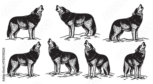 Six detailed black and white illustrations of wolves howling at the sky, each standing on a patch of ground, highlighting their natural stance and textured fur.