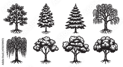Black silhouette illustrations of various tree types including pine, willow, and deciduous trees, showcasing diverse foliage designs.