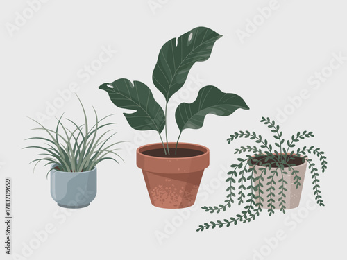 This elegant arrangement features various indoor plants in decorative pots, exemplifying modern interior design trends focused on greenery and lifestyle enhancement.