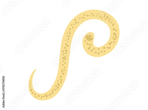 Hookworm Parasite illustration