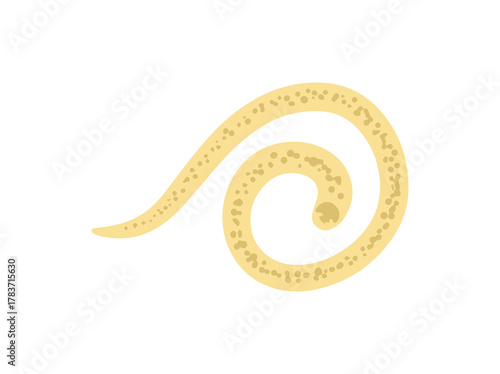 Worm Hookworm Illustration