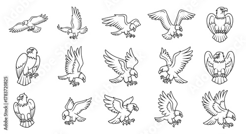Collection of stylized line art eagle illustrations, featuring various dynamic poses and static depictions, perfect for graphic design elements, emblems, and educational materials, presented on a