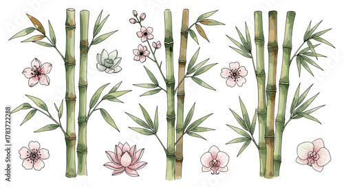 Watercolor painted bamboo stalks with delicate hand-drawn cherry blossoms, lotus flowers, and orchids, isolated on a clean white background, creating a serene and elegant natural composition, perfect