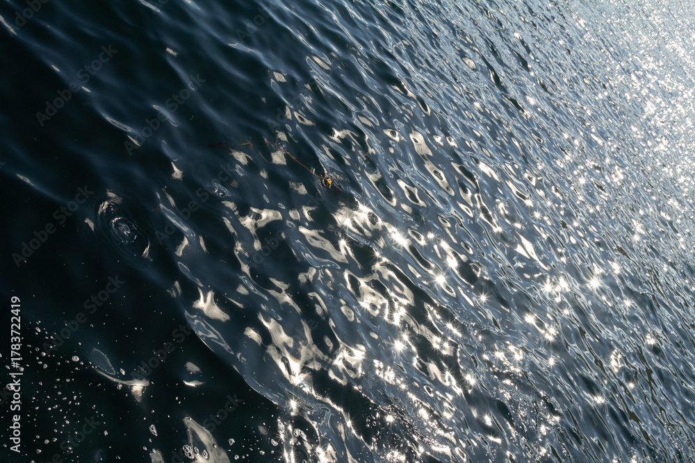 Obraz premium Sparkling sunlight reflecting on the water surface — swimming vacation destination. Summer vibe