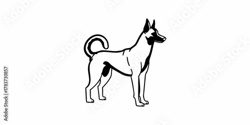 Silhouette of a standing basenji dog with curled tail and pointed ears in a black and white illustration