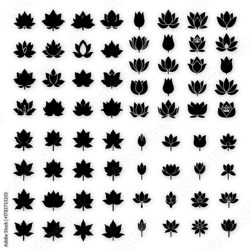 black and white vector design