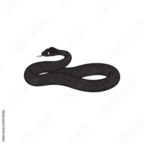 Black and white cartoon snake illustration isolated on white background with cute viper and wildlife elements