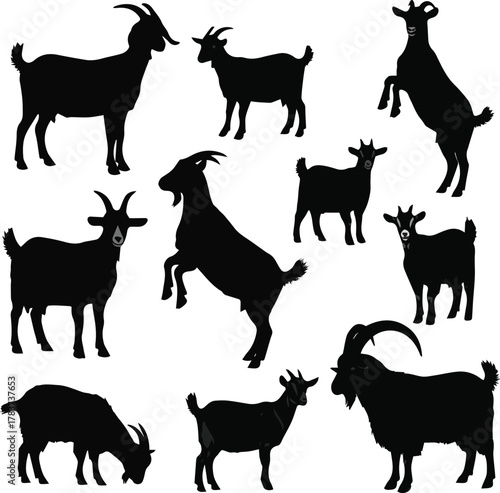 kinds of deferent goat vector art silhouette with white background