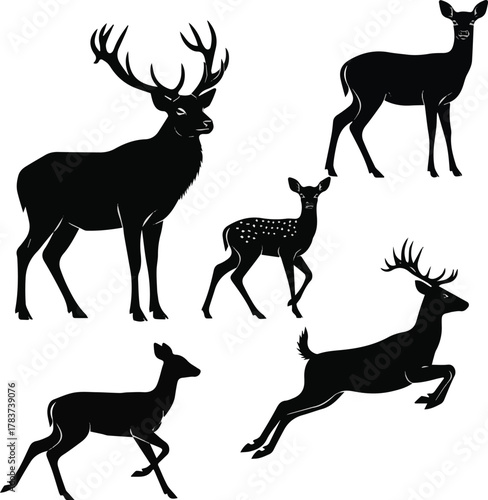 kinds of different deer vector art silhoueette with white background