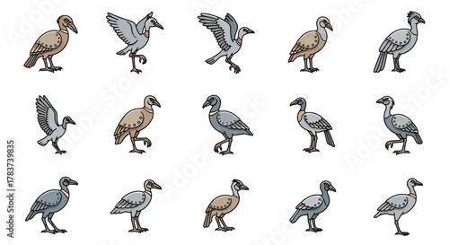 Collection of Shoebill Stork Illustrations in Various Poses.