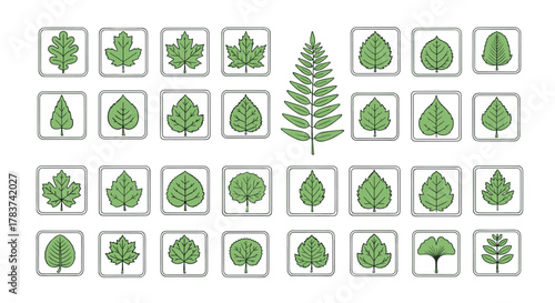Collection of diverse green leaves and foliage icons, presented in a clean, organized grid on a white background, perfect for graphic design, app interfaces, and educational materials, showcasing