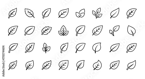 Collection of diverse leaf icons in a clean, minimalist line art style, perfect for nature-themed logos, environmental branding, and organic product designs. This ordered set features various leaf