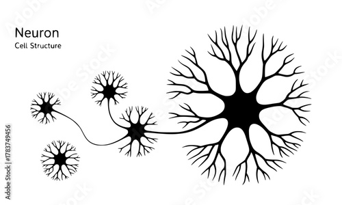 Detailed Neuron Cell Structure Vector Art for Educational and Scientific Purposes