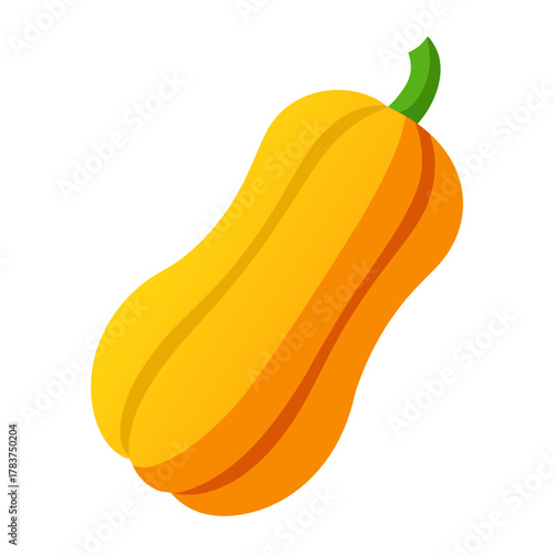 Vibrant yellow butternut squash isolated flat design illustration