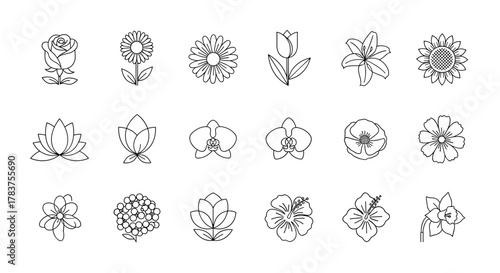 A meticulously curated collection of 18 distinct line art flower icons, presented as a clean, ordered set on a crisp white background, ideal for graphic design and branding applications, featuring