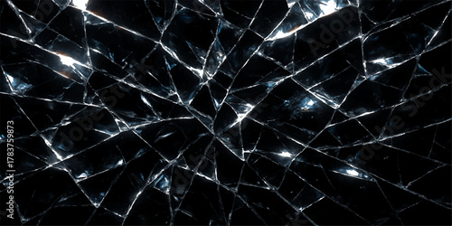 Abstract black and white fractal pattern resembling a detailed spiderweb with morning dew drops