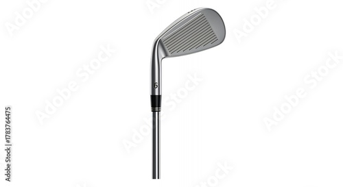 Iron club golf stick image