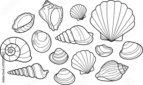 Delightful collection of seashell line art ready for coloring books, educational resources, and fun summer designs, perfect for creative projects and coastal themes